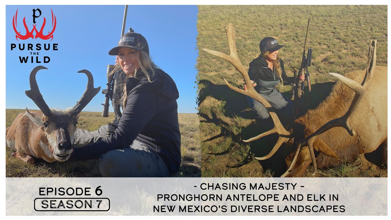 Chasing Majesty – Pronghorn Antelope and Elk in New Mexico's Diverse Landscapes