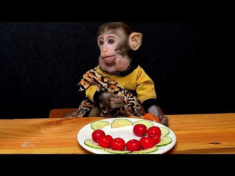 So special! Orange, Cherry and Cucumber make the cute monkey eat happily | Monkey ASMR