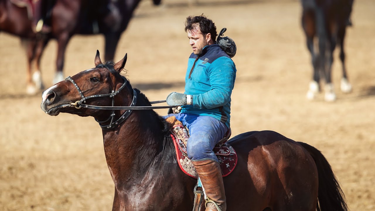 Баромади Асо човандоз бо аспи Исмоил Соҳибов ш.Бохтар. Лақаби асп: “Номер 1” 13.11.2021 ш.Ҳисор