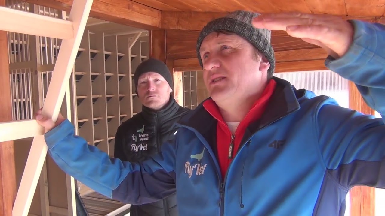 FLYVET - BUDOWA GOŁĘBNIKA - NOWOŚCI - HODOWLA - JAN BOCHEŃCZAK - MWG GIEWONT