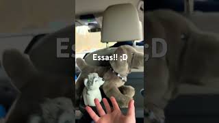 Snickers is not an essa!! :D ⭐️ #essa #thearpy #mentalhealthmatters