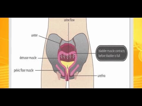 Natural Ways To Cure Incontinence In Dogs Natural Ways To Cure Incontinence In Dogs