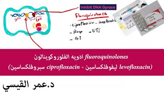 (levofloxacin ليفوفلكساسين - ciprofloxacin سبروفلكساسين) fluoroquinolones ادويه الفلوروكوينالون