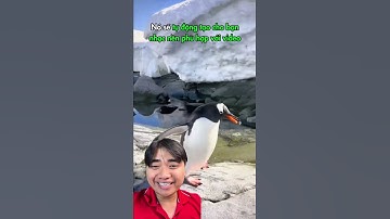 #218 - Vô vàn công cụ điều chỉnh video của bạn trong Website duy nhất