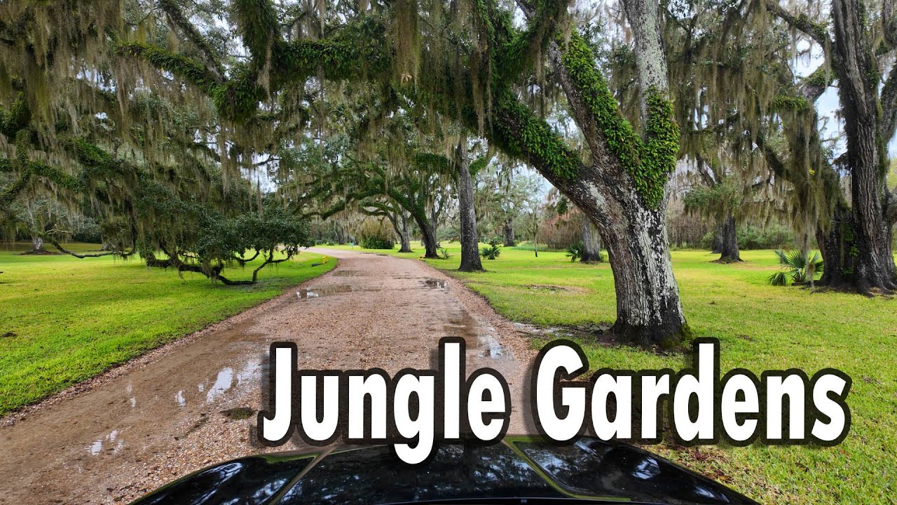 Jungle Gardens at Avery Island | Places to See in Louisiana