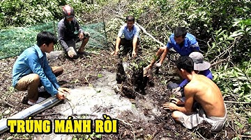 Bắt Chuột Đồng Miền Tây Vậy Mới Phê Nè - NGÃ NĂM TV - SĂN BẮT CATCH MOUSE