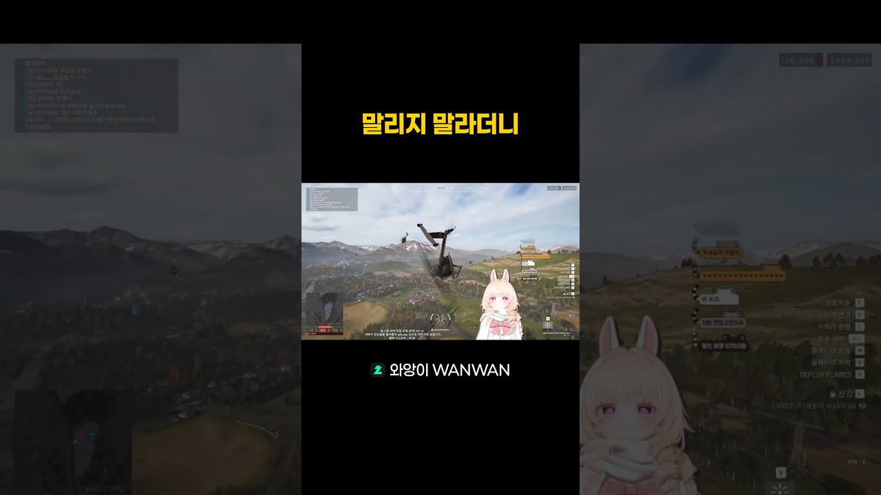 워독스 헬기로 충각 시도 #와앙이 #워독스