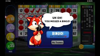Bingo 😄💞 Super Fun Game 🤩