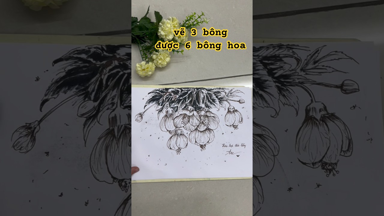 vẽ hoa đèn lồng đơn giản 