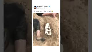 At least he's trying to help 🥹