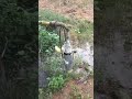 Save water Save Earth #water #earth #rain