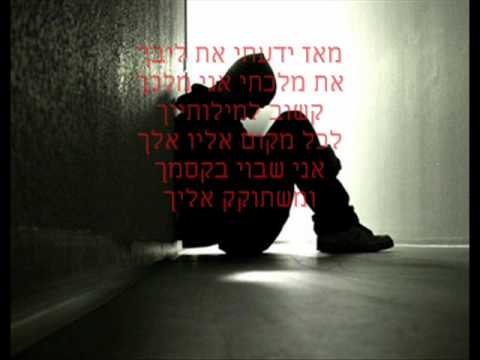 ברי לוי דרך החיים 