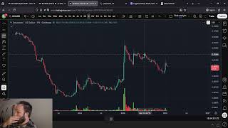 Onyxcoin Xcn Is Dumping???? Dont Freak Out