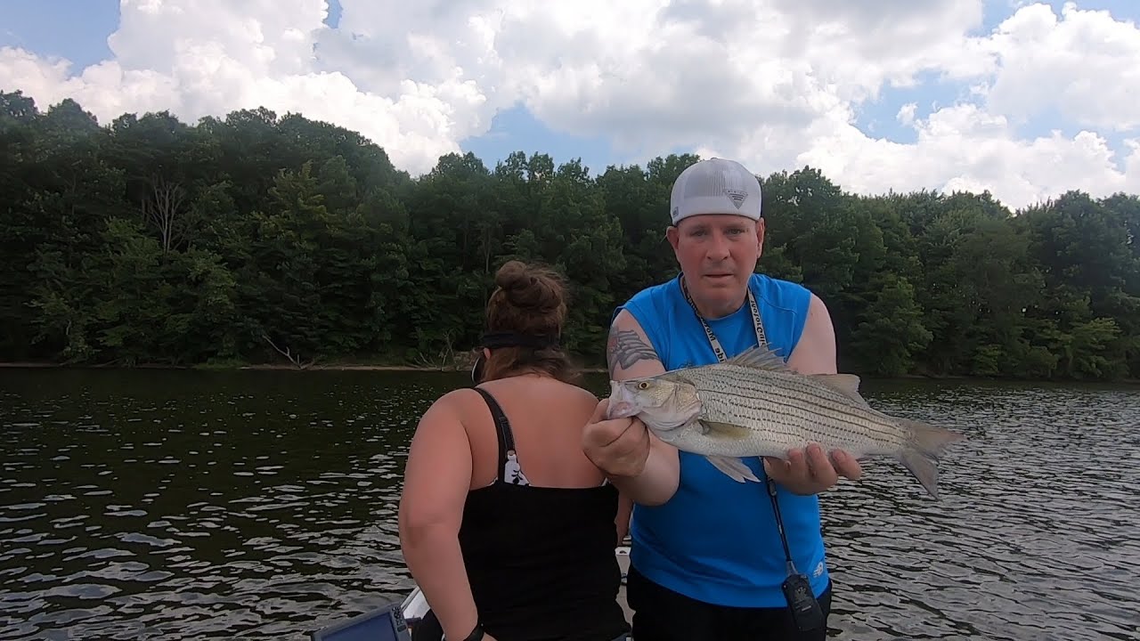 JULY 2022 Fishing w/Mrs. Hipiam & Finnegan at West Branch & Walborn-Bass, Wipers, Crappie & Catfish