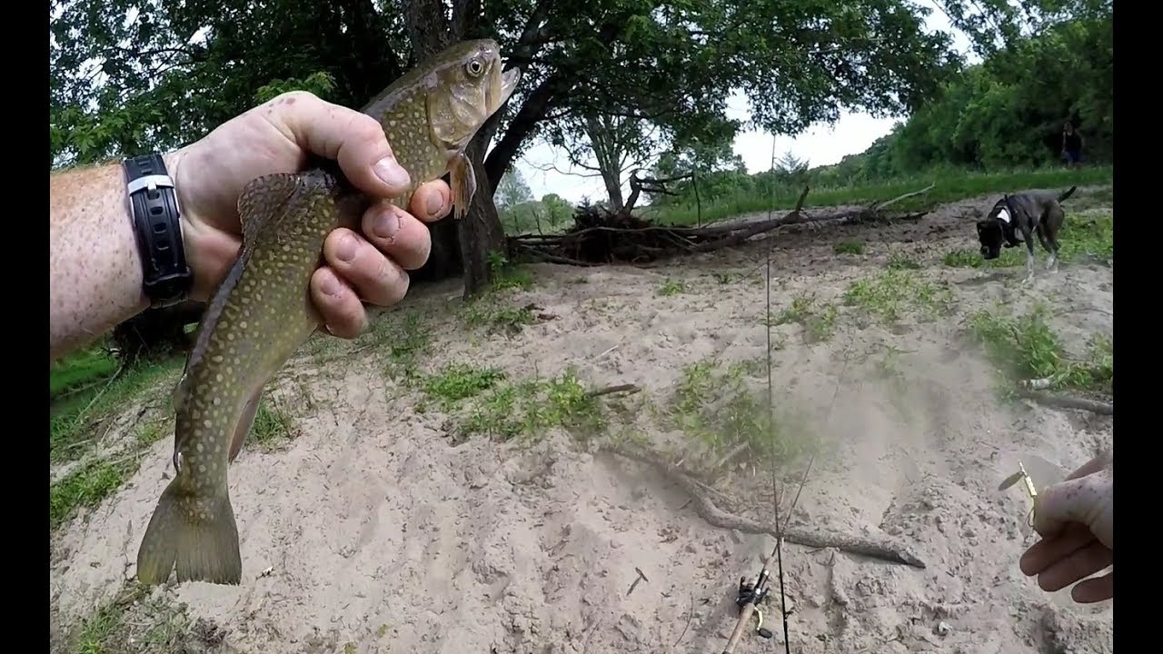 Trout fishing the Maquoketa river YouTube