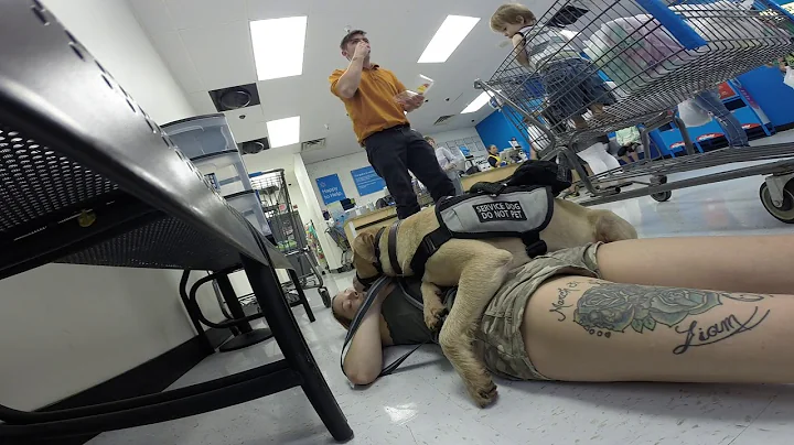 ADULTS INTERACTING WITH MY SERVICE DOG AND FAINTING