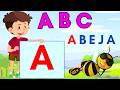 Aprende el Abecedario ABC | Letras y Vocabulario en Español 🇪🇸 para Niños de Preescolar🔴Live
