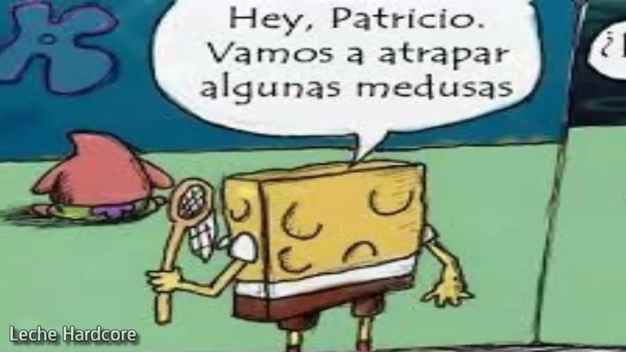 ¿Sabes como se alimentan las estrellas de mar Bob Esponja