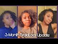 Braidlocs | 1-3 Month Updates