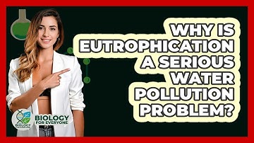 Why Is Eutrophication A Serious Water Pollution Problem? - Biology For Everyone