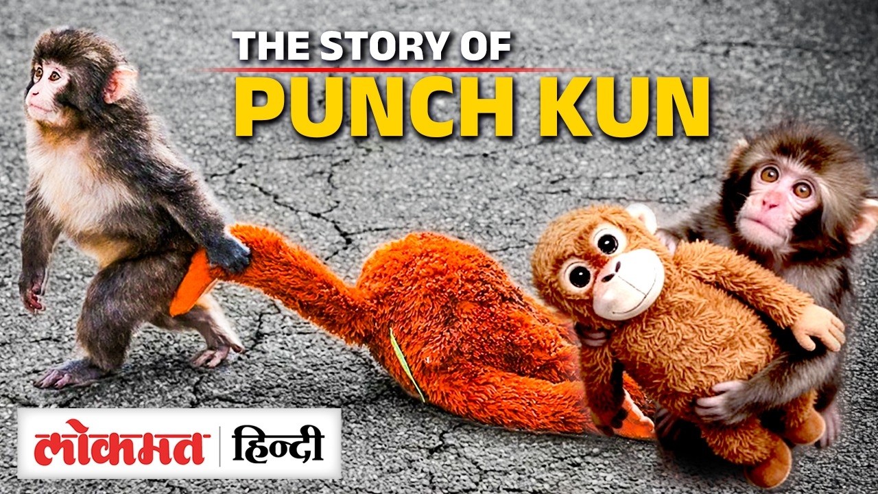 Japan के Viral Baby Monkey Punch-Kun की कहानी, मां ने ठुकराया तो खिलौने से लिपटकर जी रहा। IKEA। UK2