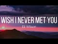 Eli wilson  wish i never met you lyrics