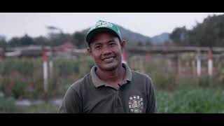 Juara 1  Kementan Inovasi Pertanian Di Tengan Pandemi