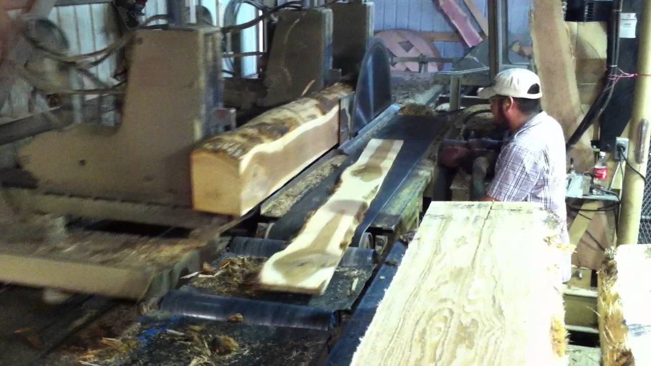 White oak logs