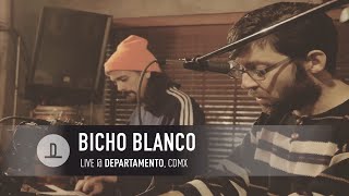 Bicho Blanco | Live @ Departamento, CDMX