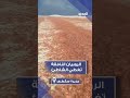 وثق ناشط بيئي نفوق أعداد كبيرة من الروبيان في محمية ساحلية في جزيرة سقطرى