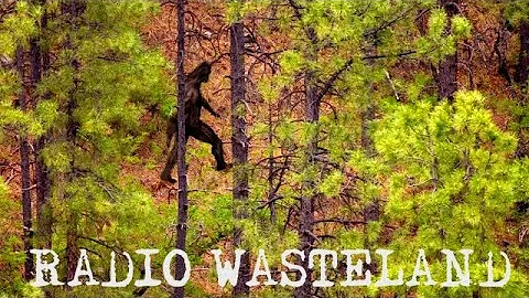 Audio Samples of Bigfoot Calls: Ronald Morehead Th...