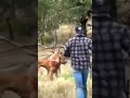 اكثر فديو مضحك شفتو جنان