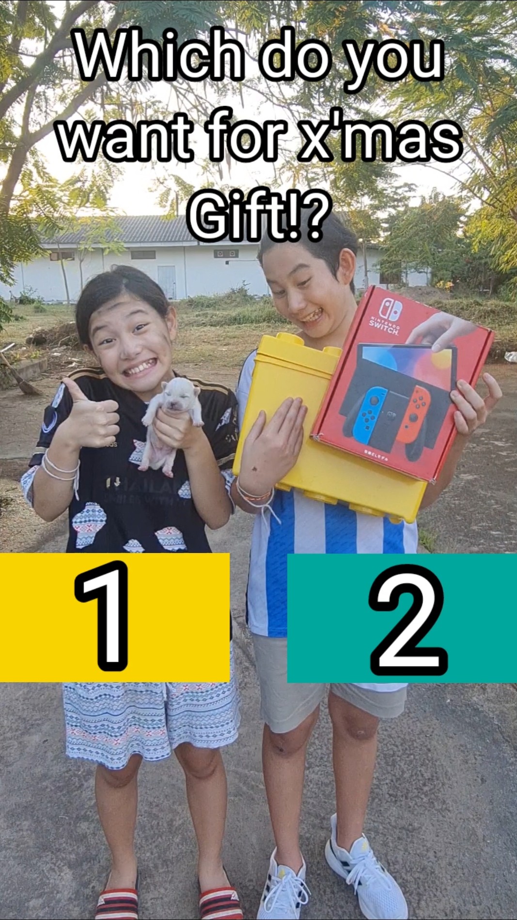 Puppy OR Toy For X'mas Gift‼️ Choose? Funny | JJaiPan #shorts