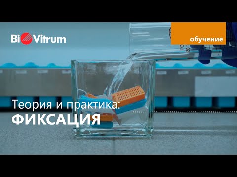 Фиксация образцов в формалине: как?