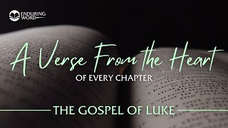 Often Forgotten Heroes – Luke 8:1-3 Devotional