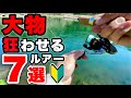【初心者向け】管釣りでどうしても大物が釣りたい人必見!最強おすすめルアー7選【エリアトラウト】【管理釣り場】【大型赤身】