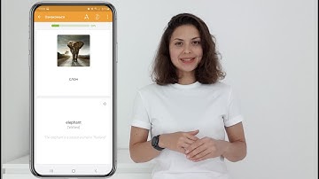 Подробно о режимах изучения в app Lexilize: "Интервальное повторение", "Простой режим" и "Блиц"