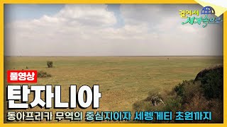 [#걸어서세계속으로Full📺] 하쿠나마타타! 라이온킹의 실사판🦁 세렝게티  '탄자니아' 여행 Trip to Tanzania (KBS_20191005)