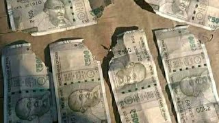 Damage Currency | चुहे‌ पैसा काट दिया तो क्या करें | fata note | jala note | Money | Soiled Money