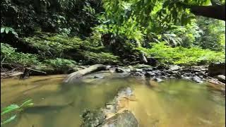 Teraja long house and Teraja waterfall, Labi, Belait District, Brunei Darussalam
