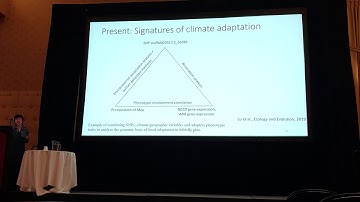 Lu: A genomics perspective on climate adaptation of loblolly pine past, present, and future