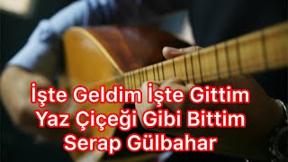 İşte Geldim İşte Gittim Yaz Çiçeği Gibi Bittim - Serap Gülbahar - Tinyabalı Resimi