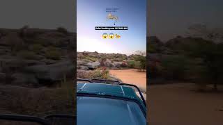 ♥️Best tourist attraction place in India jawai #shorts #viral #wildlife