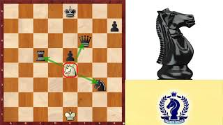 HOW CHESS PIECES CAPTURE.