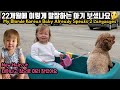🇰🇷🇨🇦지아와 지지 2탄| Toddler and Poodle #2 | 육아채널인지 코미디 채널인지 저도 모르겠습니다🙄| 국제커플| 캐나다| 육아| 브이로그