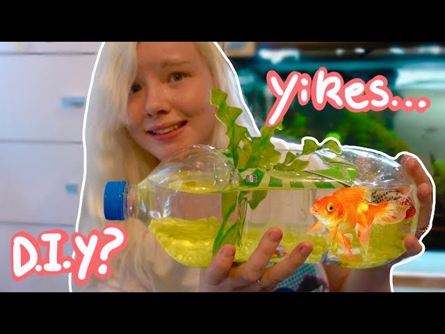 DIY PLASTIC BOTTLE FISH AQUARIUM! 