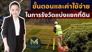 ขั้นตอนและค่าใช้จ่ายในการทำรังวัดที่ดินแบ่งแยกเพื่อขาย | Koy My Property Pro