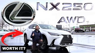 2023 Lexus NX 250: Just A Fancy RAV4?