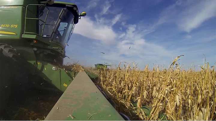 2015 Nebraska Dryland Corn Harvest - GoPro