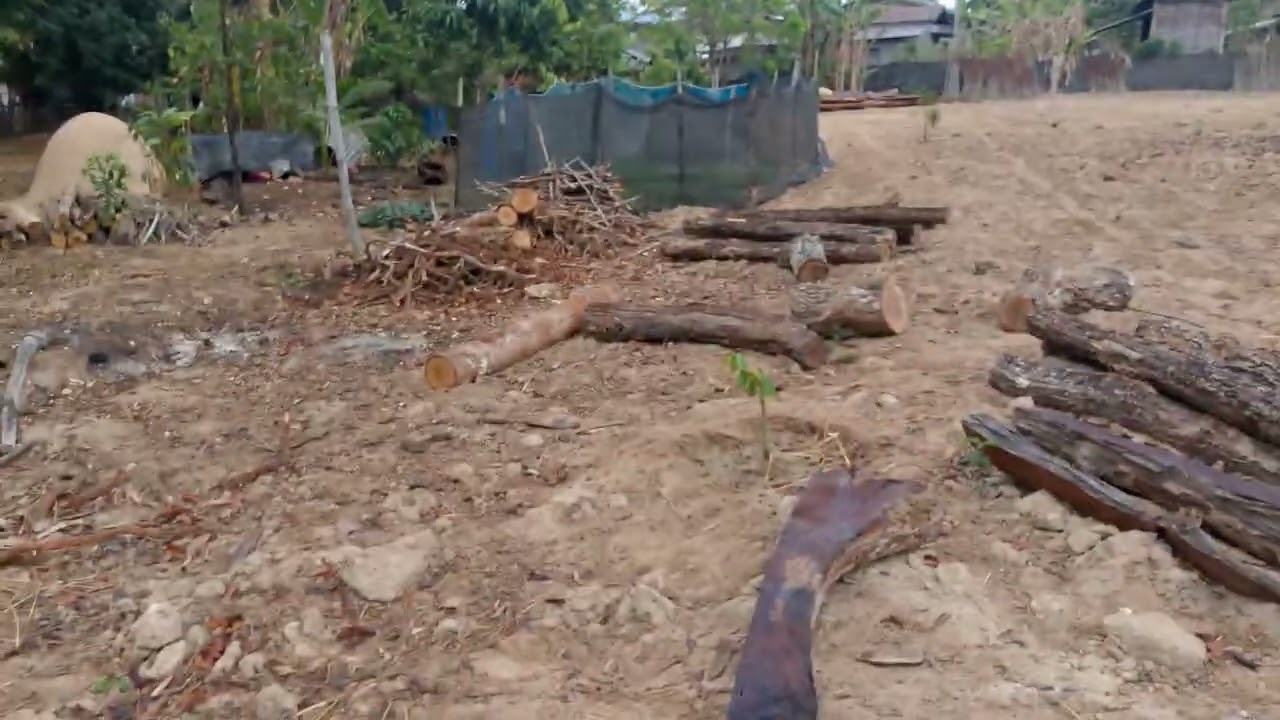 27 กุมภาพันธ์ ค.ศ. 2026